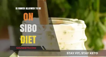 Ranch on a SIBO Diet: Is It Safe?