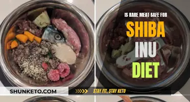 Shiba Inu Diet: Is Rare Meat Safe?