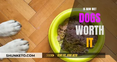 Raw Diet for Dogs: Is It Worth the Hype?