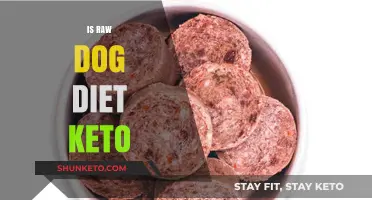 Is a Raw Dog Diet Keto-Friendly? Exploring Canine Nutrition Trends