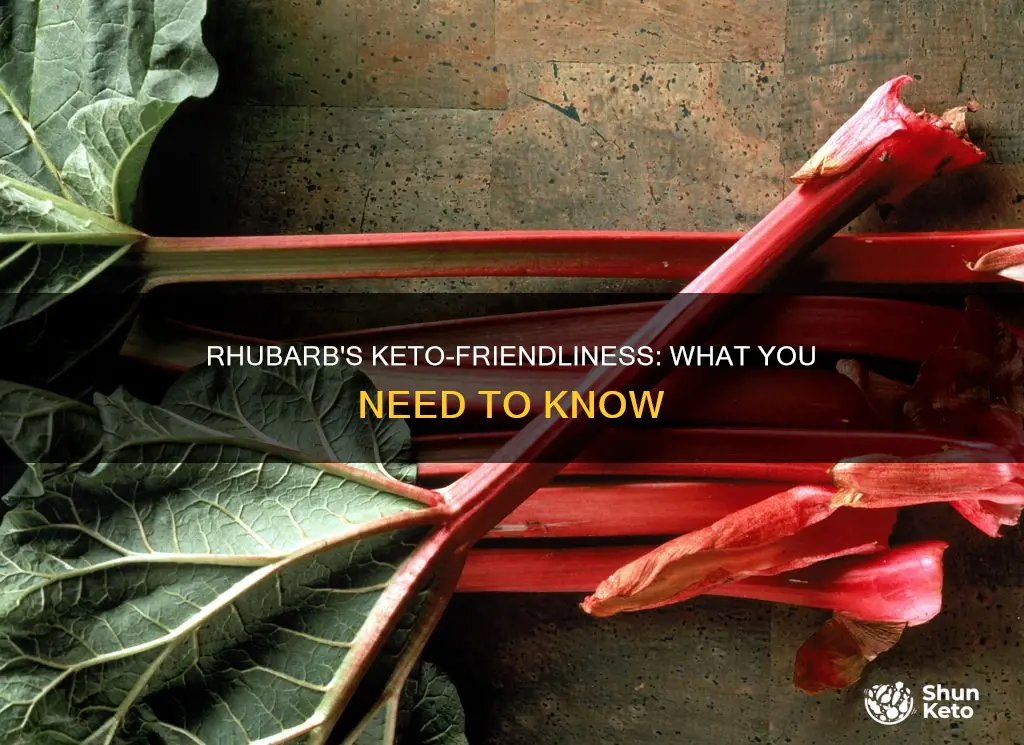 is rhubarb keto approved