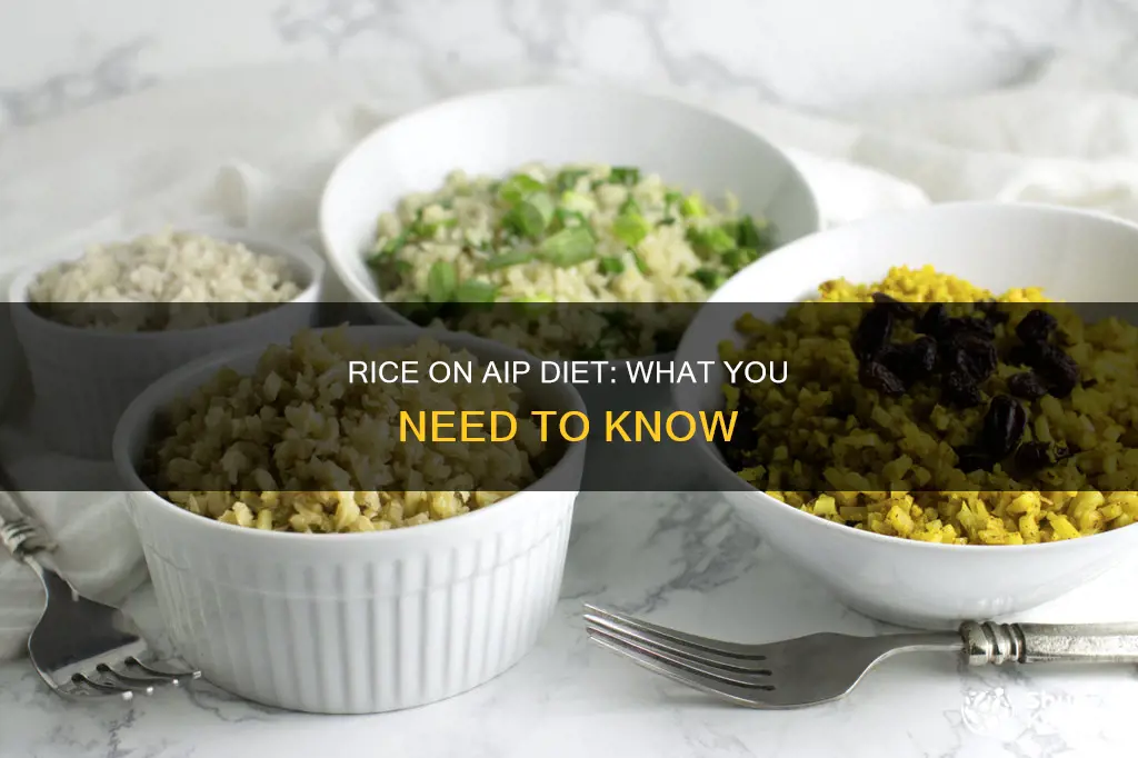 Rice On Aip Diet: What You Need To Know | ShunKeto