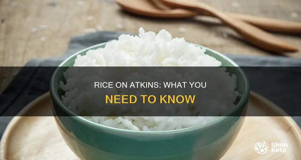 is rice allowed on atkins diet