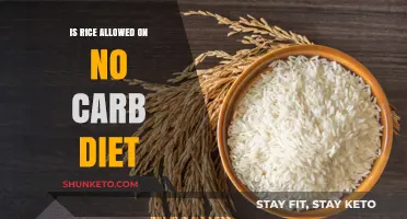Rice and No-Carb Diets: A Match?
