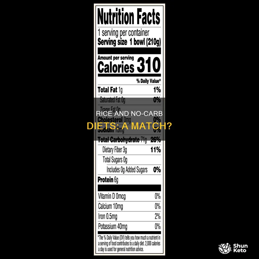 is rice allowed on no carb diet