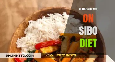 Rice Consumption and the SIBO Diet: What's Allowed?