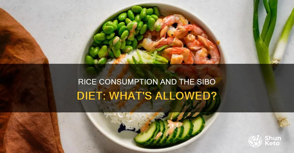is rice allowed on sibo diet