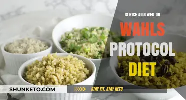 Wahls Protocol Diet: Is Rice Allowed?