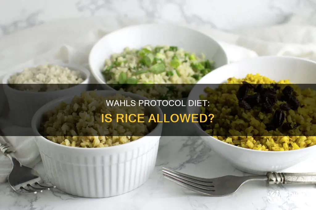 is rice allowed on wahls protocol diet