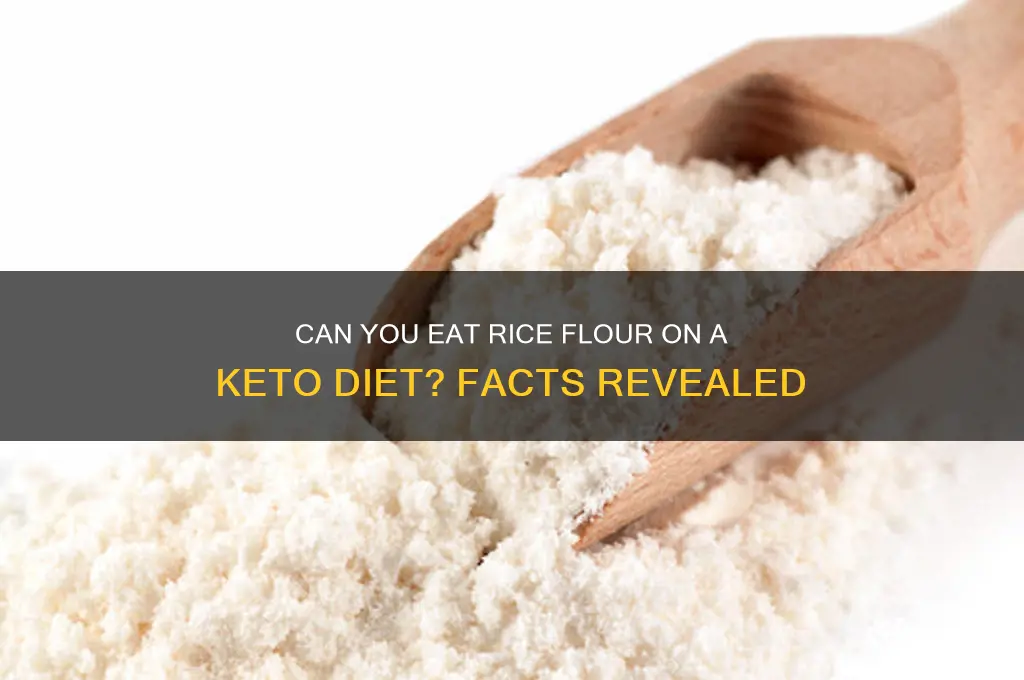 is rice flour allowed on keto diet