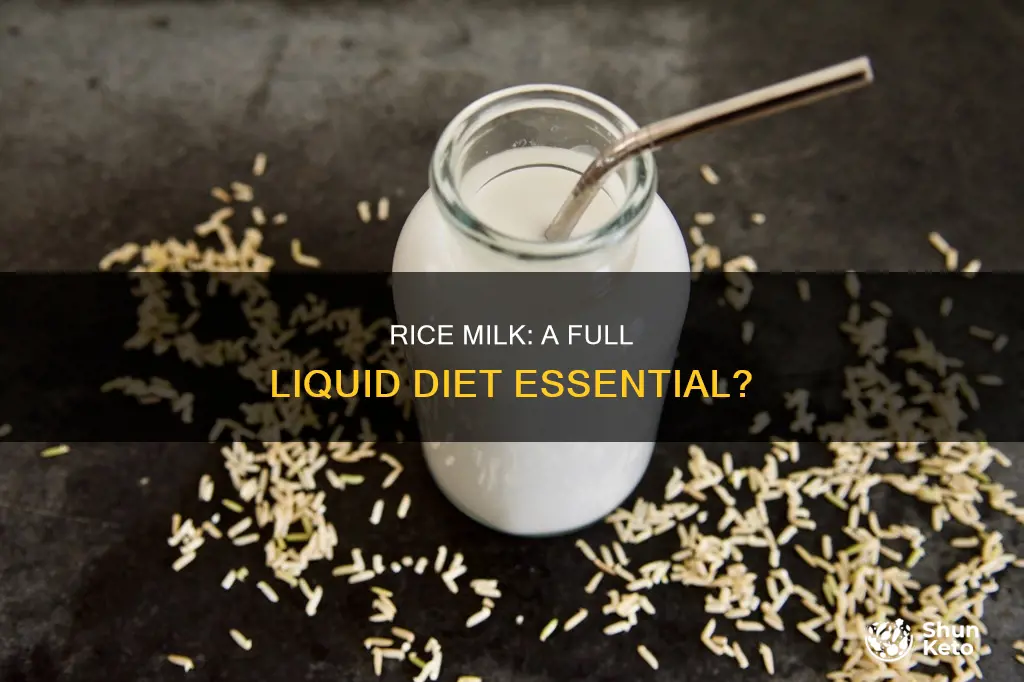 is rice milk on a full liquid diet
