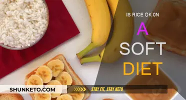 Rice and Soft Diets: What You Need to Know