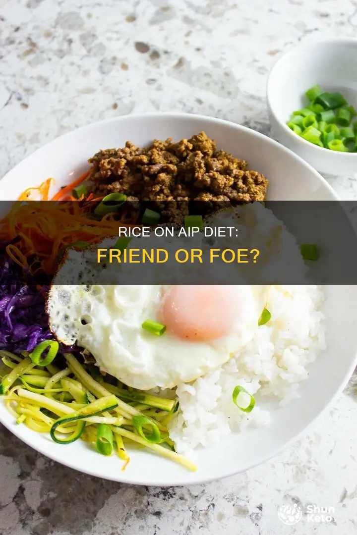 is rice ok on aip diet