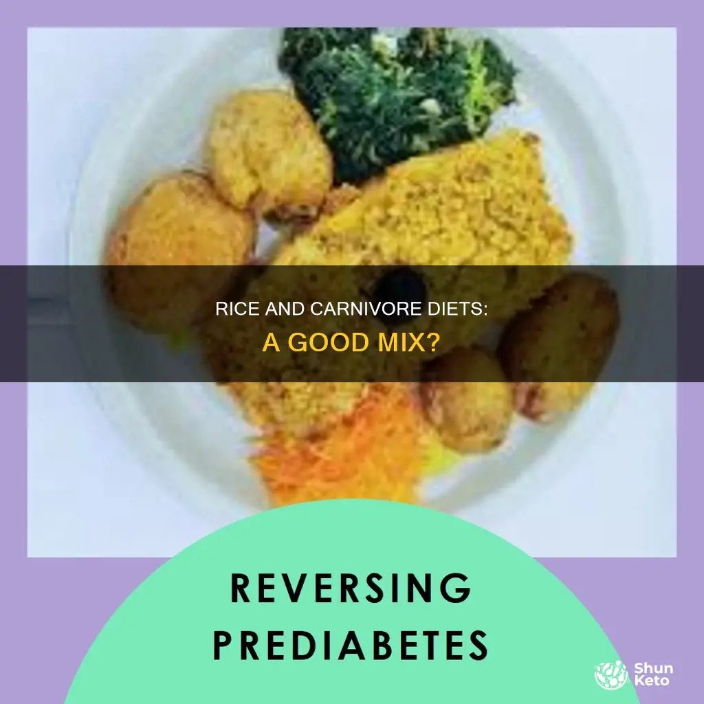 is rice ok on carnivore diet