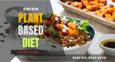 Rice Consumption in Plant-Based Diets: Healthy or Unhealthy?