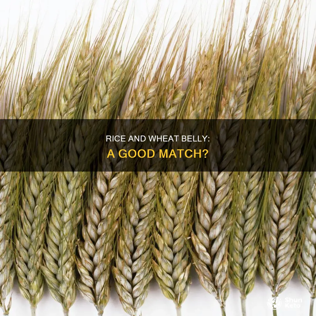 is rice ok on wheat belly diet