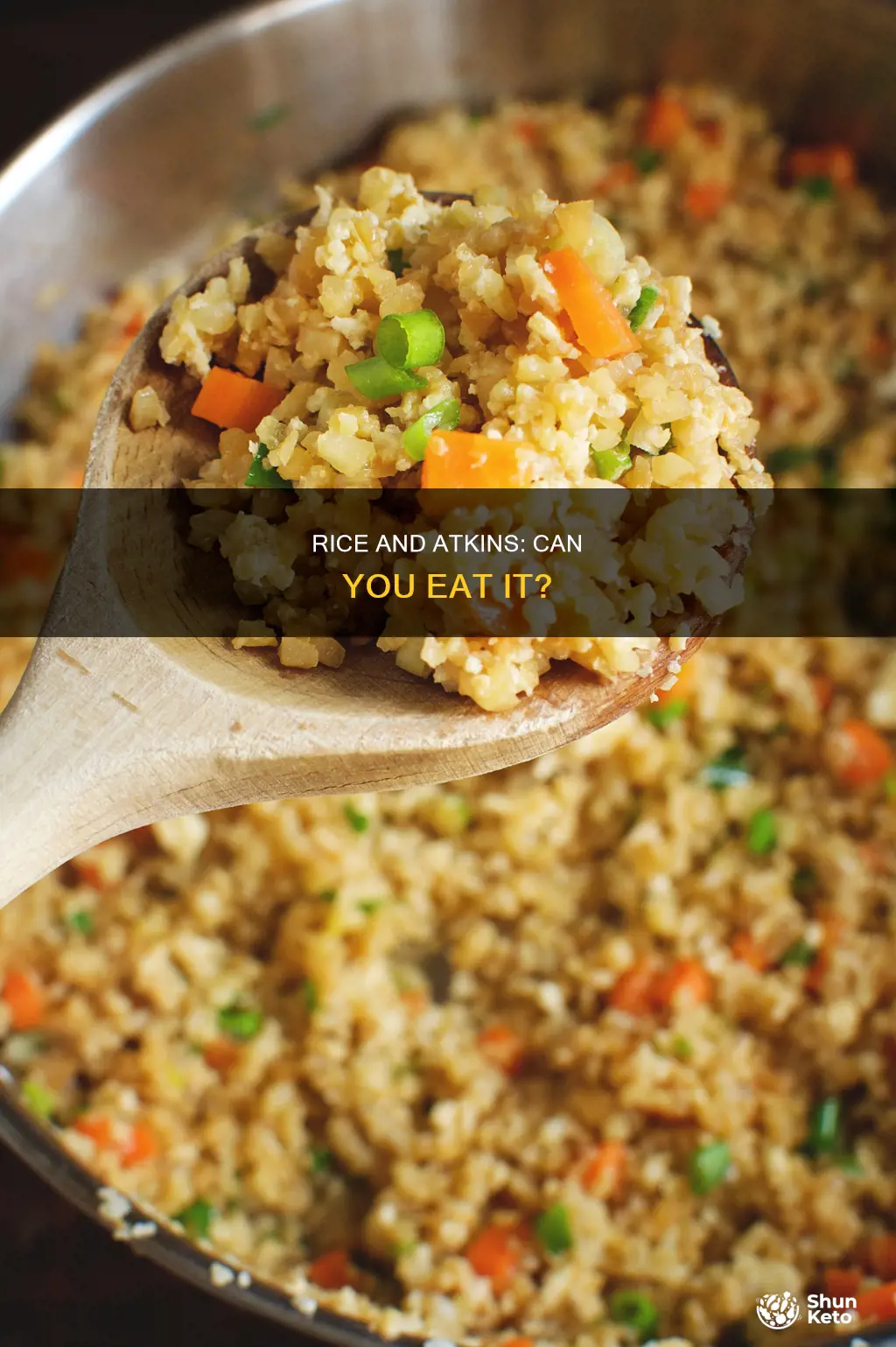 is rice on the atkins diet