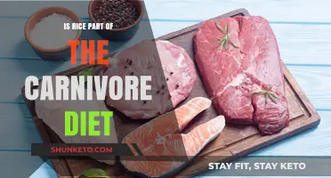 Carnivore Diet: Is Rice Allowed or Not?