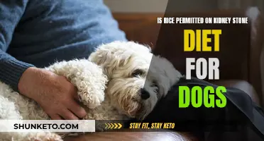 Rice and Kidney Stones: A Canine Diet Conundrum