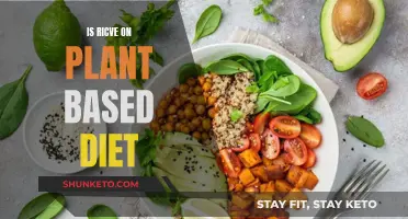 Plant-Based Diets: Are They Nutritionally Complete?