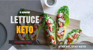 Is Romaine Lettuce Keto-Friendly? A Low-Carb Diet Guide