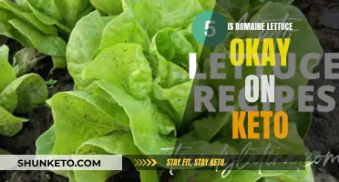 Romaine Lettuce and Keto: A Healthy Match?