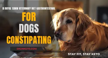 Royal Canin Veterinary Diet: Friend or Foe for Dog Constipation?