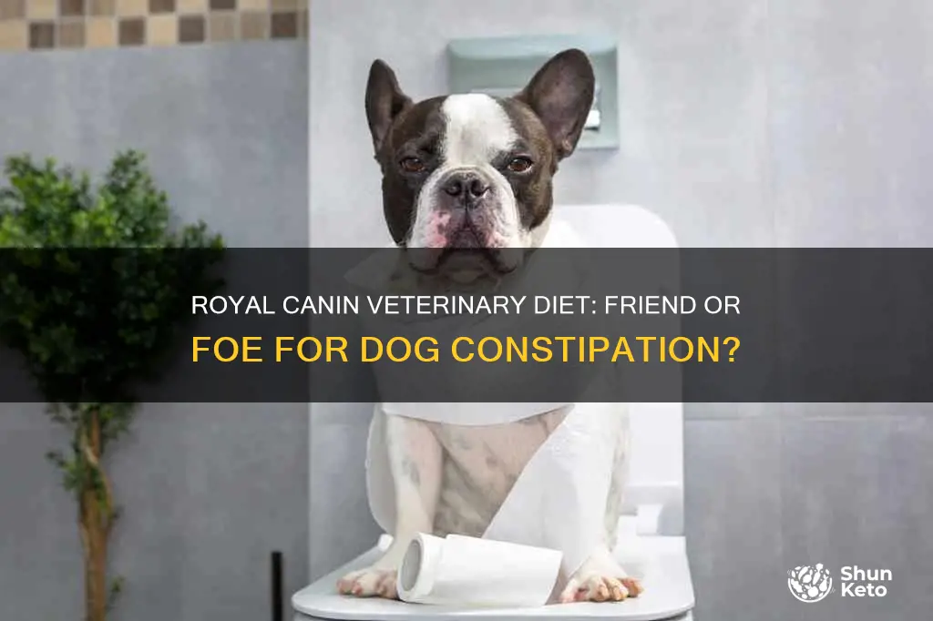 is royal canin veterinary diet gastrointestinal for dogs constipating