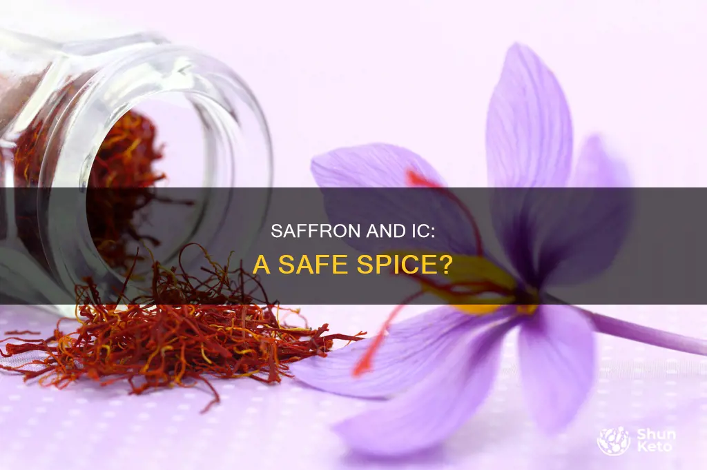 is saffron ok for ic diet