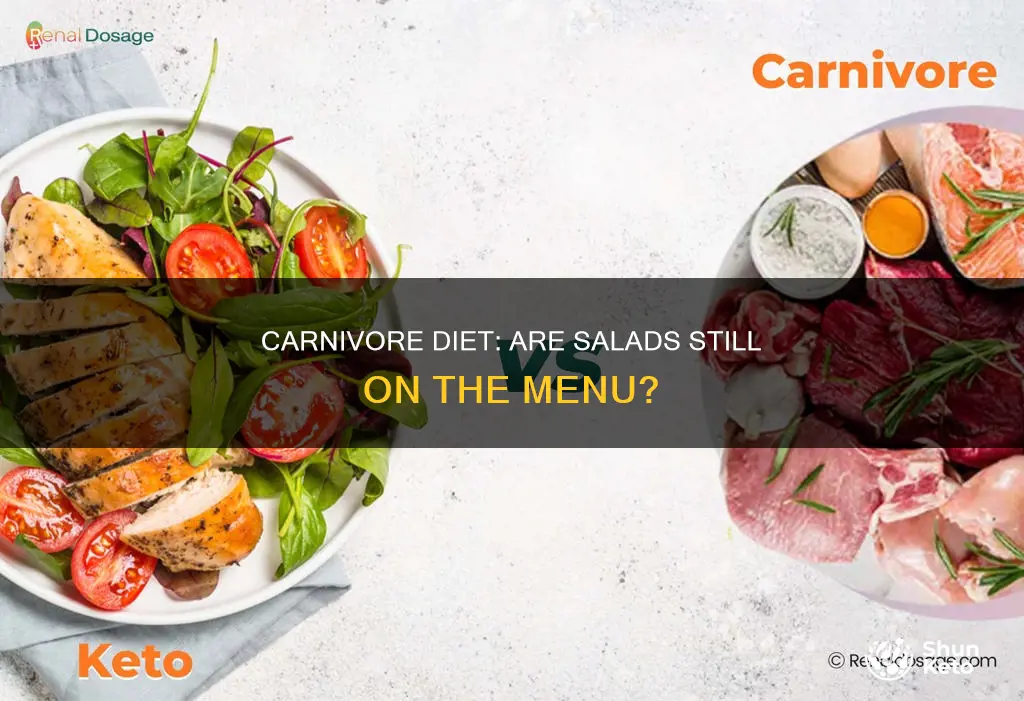 is salad okay on carnivore diet