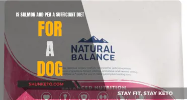 Salmon and Pea Diet: Is It Enough for Dogs?