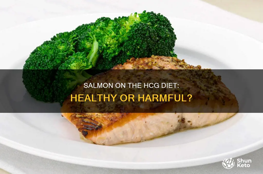 is salmon okay on hcg diet