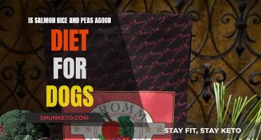 Rice, Salmon, Peas: A Healthy Dog Diet?