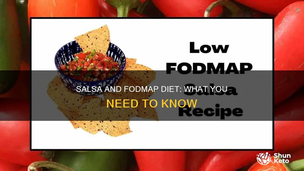 is salsa allowed on fodmap diet
