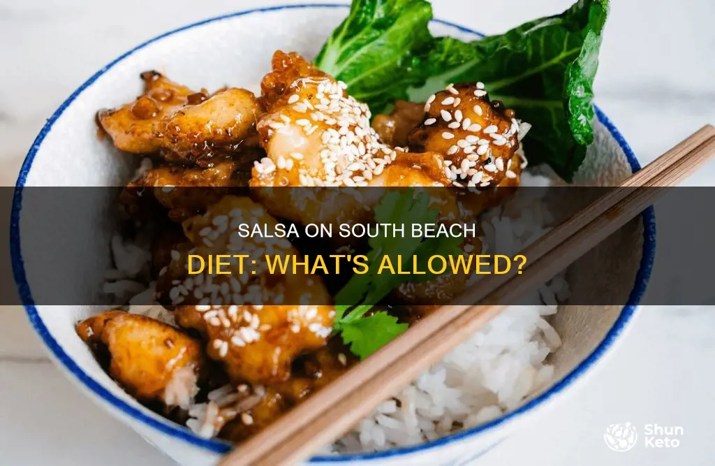 is salsa allowed on south beach diet