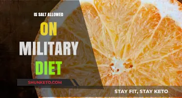 Salt on the Military Diet: Is It Allowed?