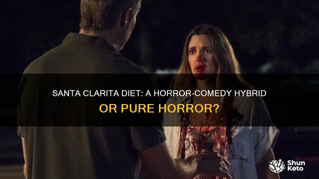 is santa clarita diet a comedy