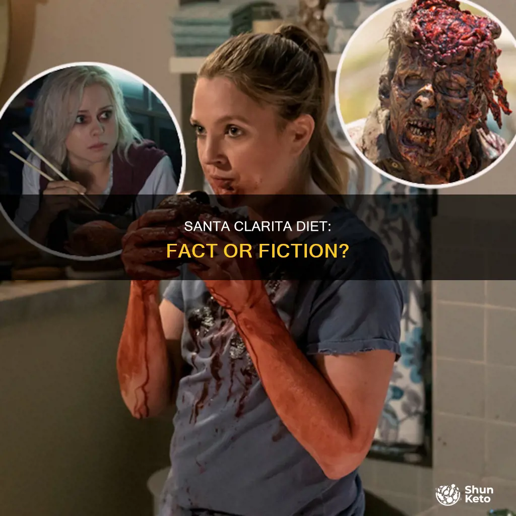 is santa clarita diet based on a true story