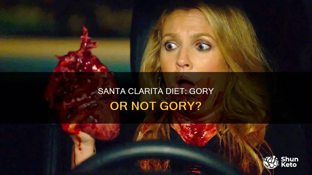 is santa clarita diet gory