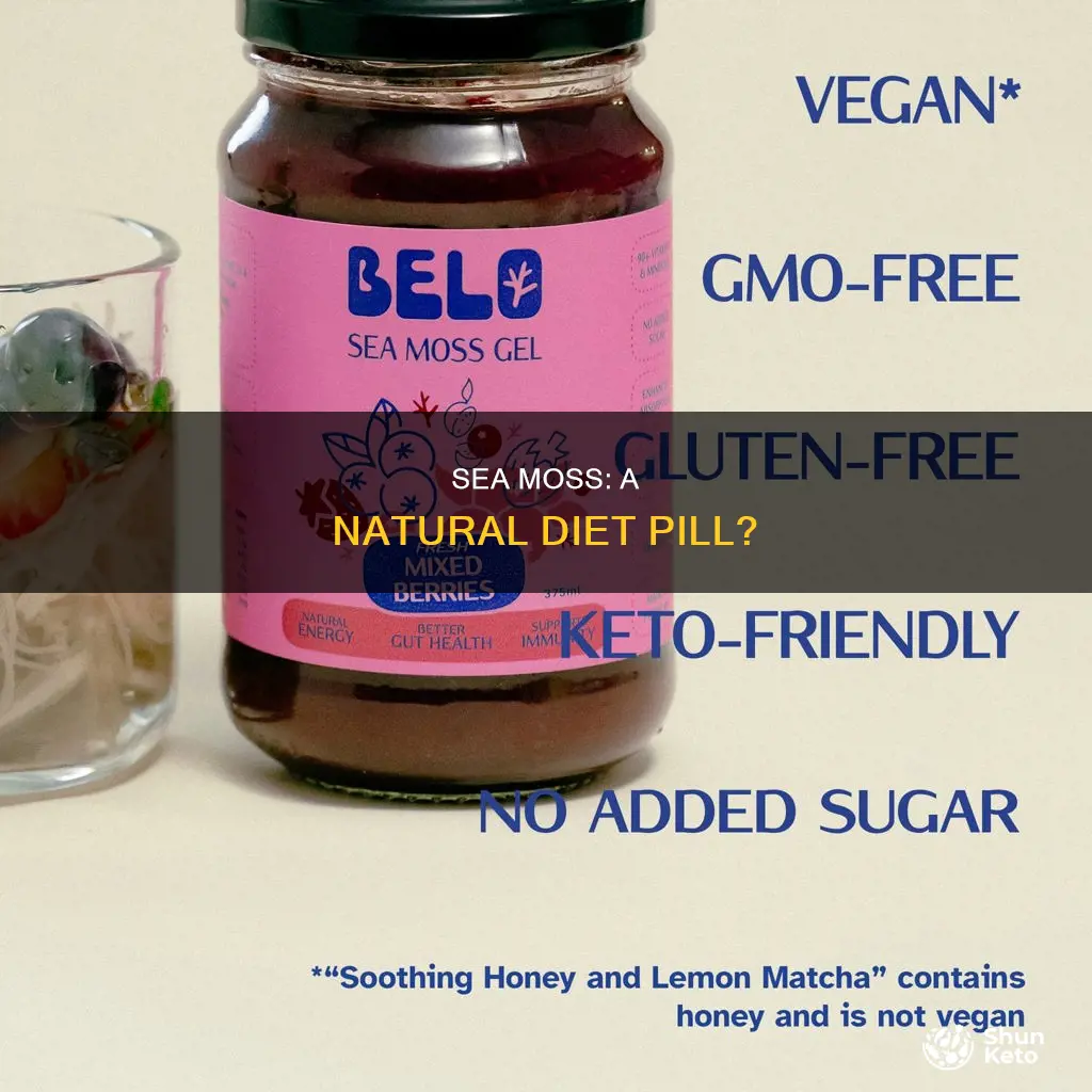 is sea moss a diet pill