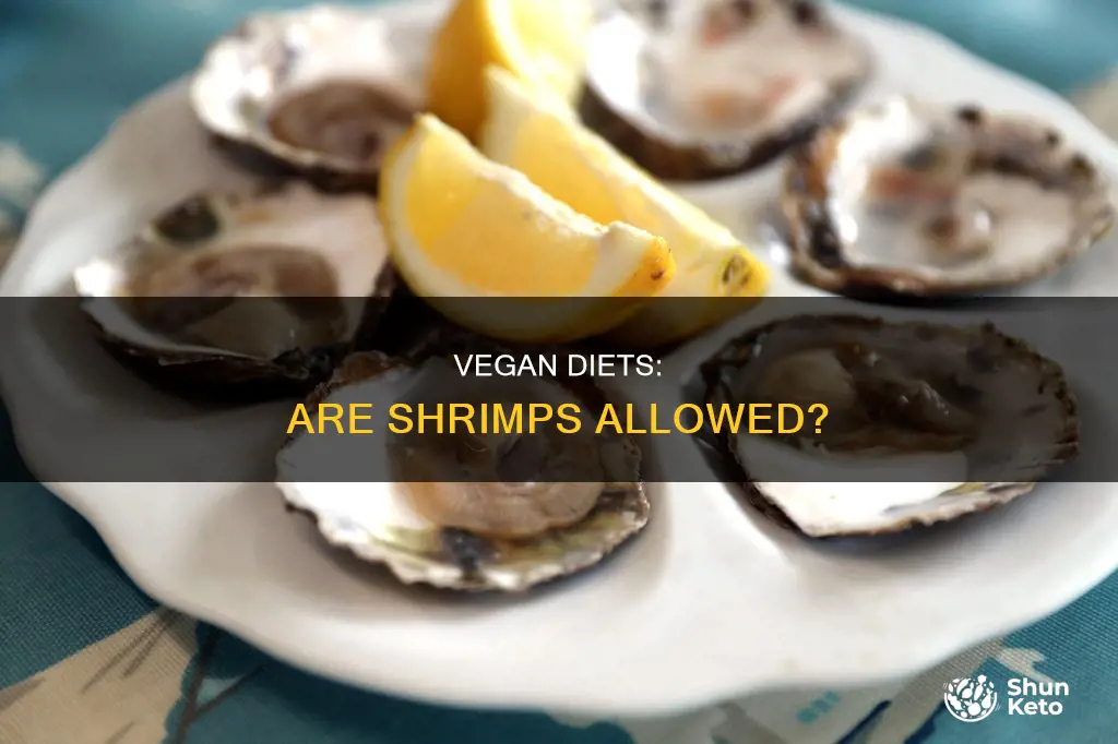 is shrimp allowed during vegan diet