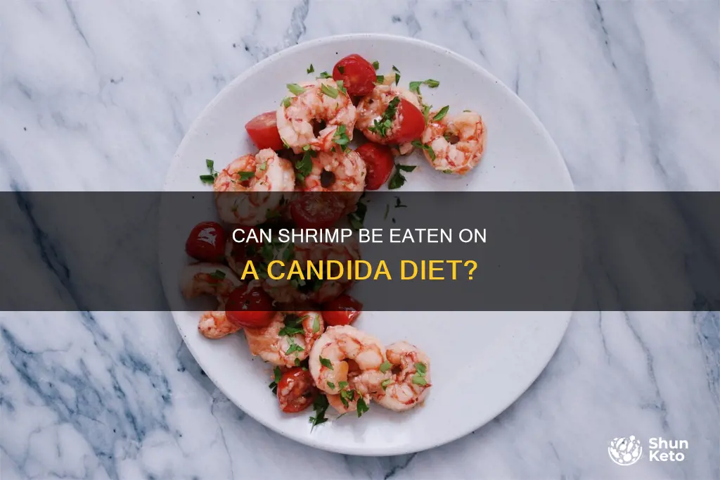 is shrimp allowed on candida diet