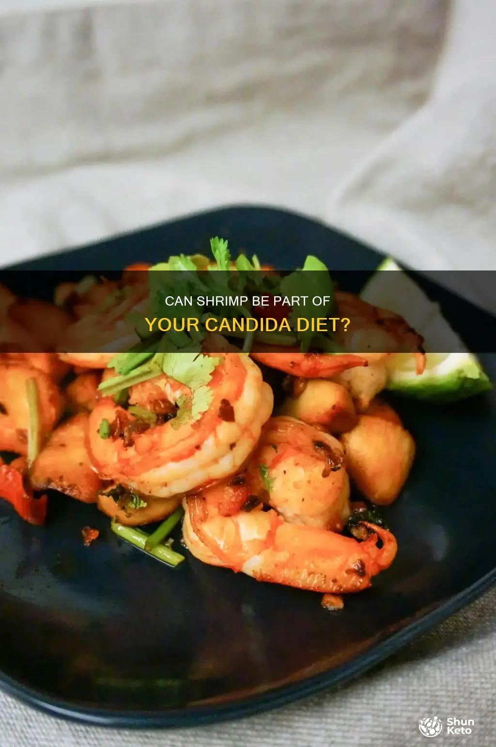 is shrimp ok on candida diet