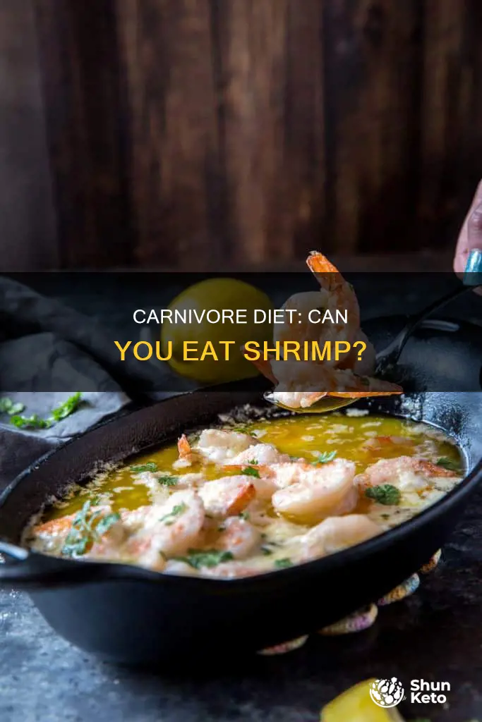 is shrimp part of the carnivore diet