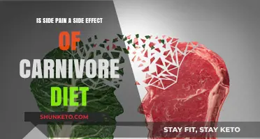 Side Pain: A Carnivore Diet Consequence?