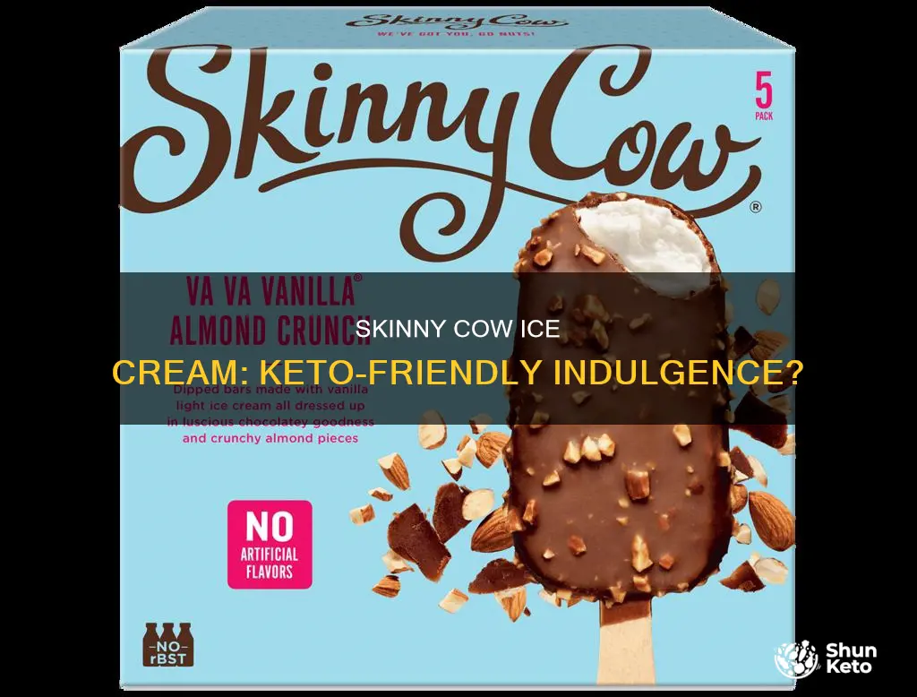 is skinny cow ice cream keto