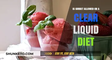 Clear Liquid Diet: Can You Eat Sorbet?