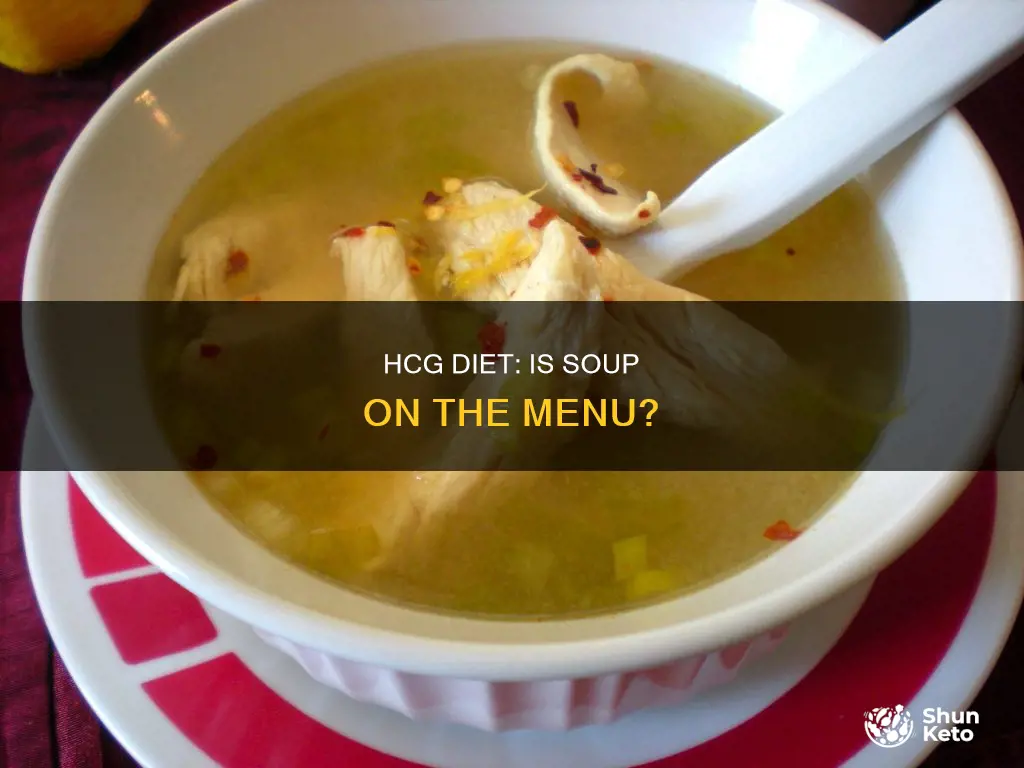 is soup allowed on hcg diet