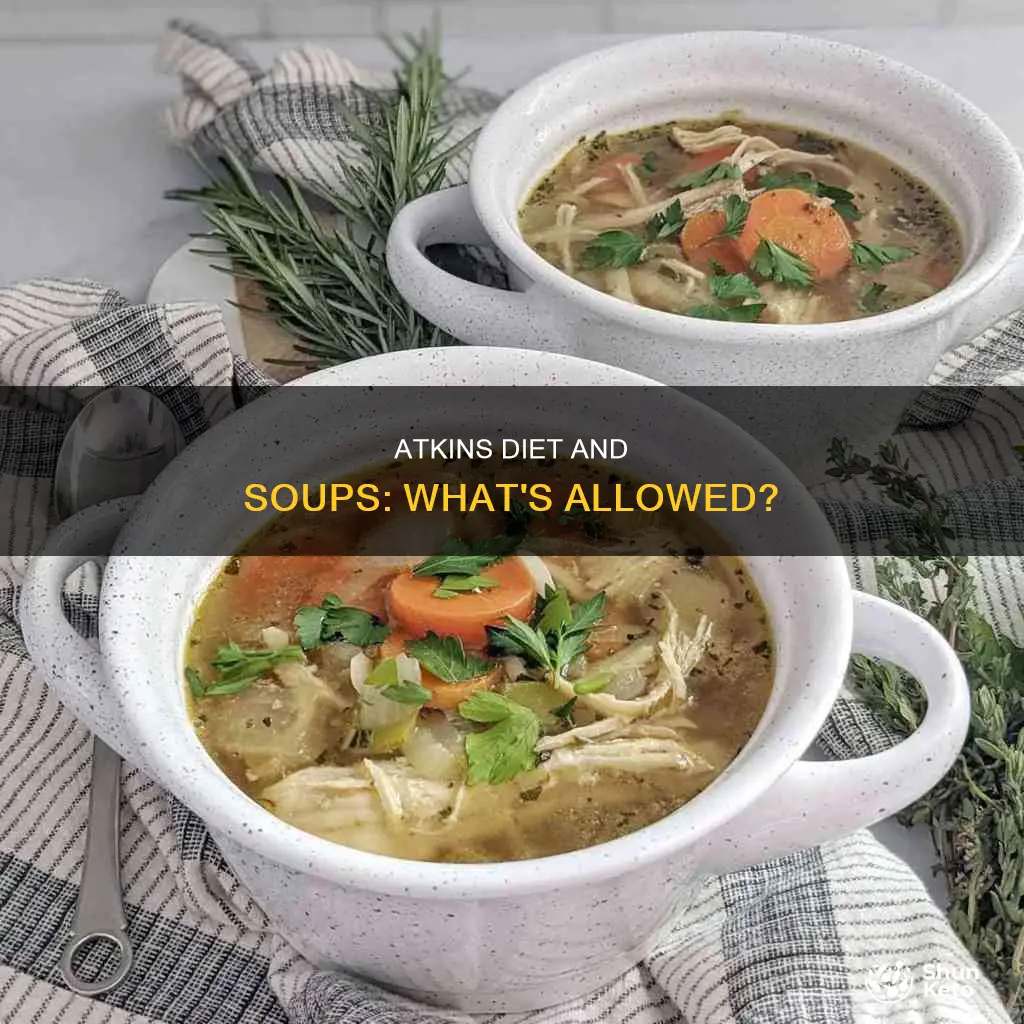 is soup on the atkins diet