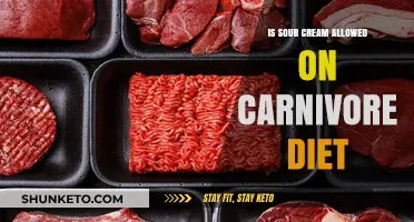 Carnivore Diet: Is Sour Cream Allowed?